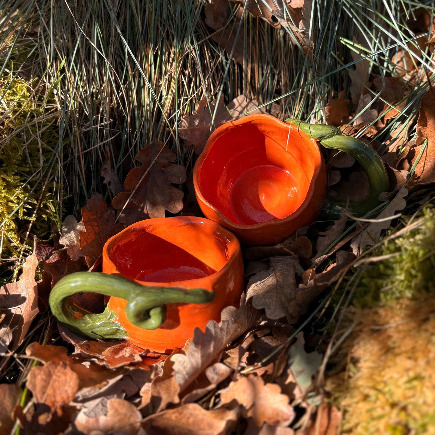 Petite courge