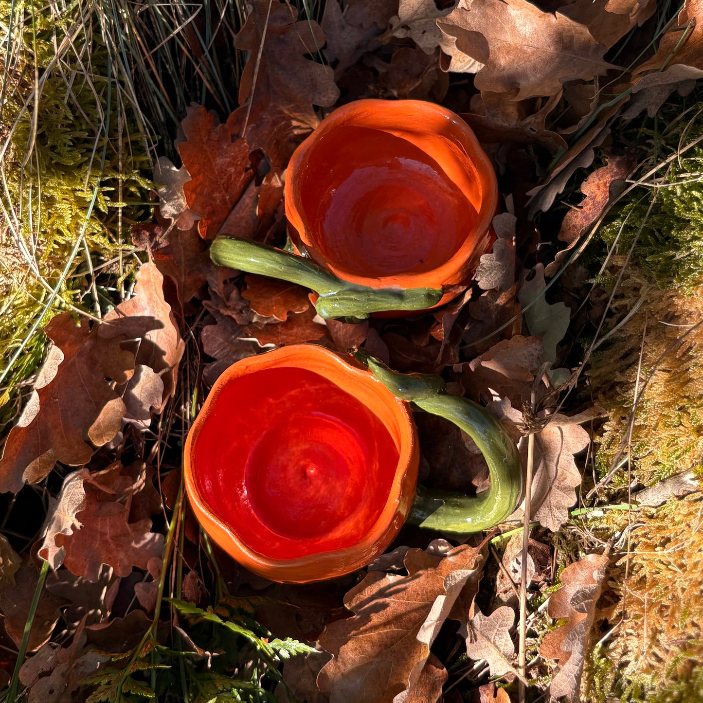 Petite courge